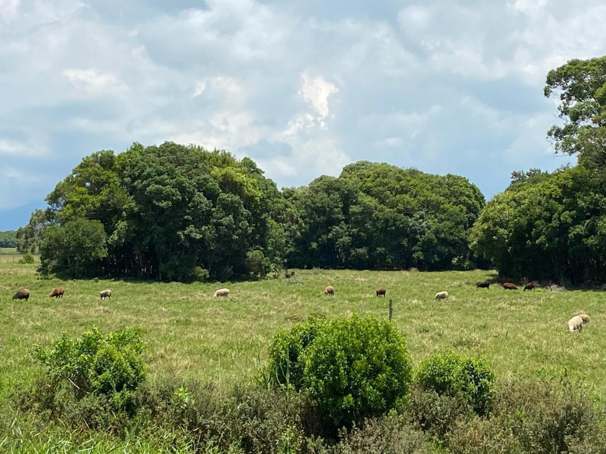 Haras Trevo De Ferro, Praia, Piscina E Campo Torres Εξωτερικό φωτογραφία